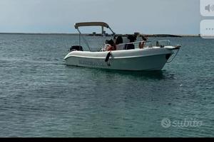 Tendalino 4 archi in acciaio