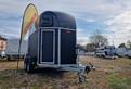 Trailer Van Trasporto Cavalli in Plywood