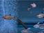 Immagine 2