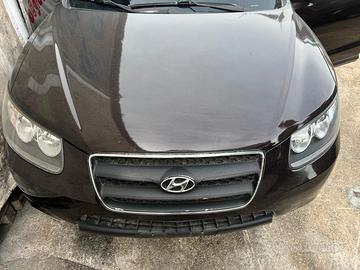 Ricambi Auto Hyundai Santa Fe Anno 2010
