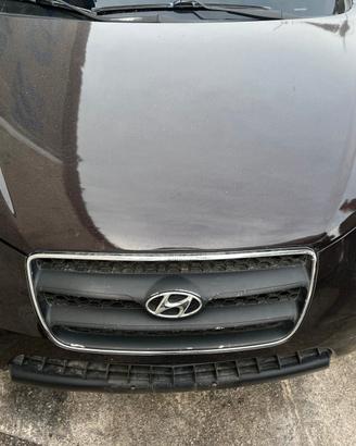 Ricambi Auto Hyundai Santa Fe Anno 2010