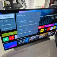 TV LG OLED EVO 48 C2 PERFETTA