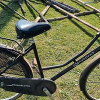 Bicicletta donna