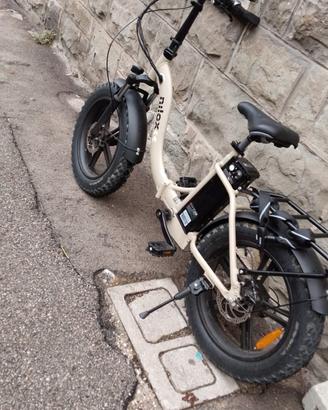 bicicletta elettrica