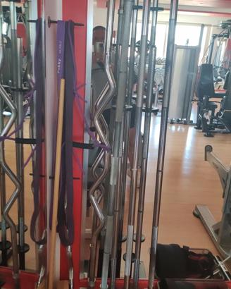 BILANCIERI FORO 28 Technogym usati e Foro 50 Nuovi