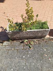 fioriera 100x30 H 40