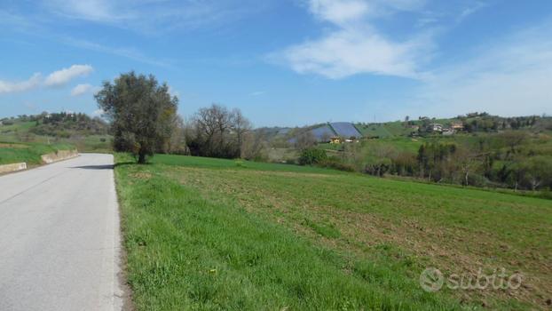 Terreno Agricolo - Spinetoli