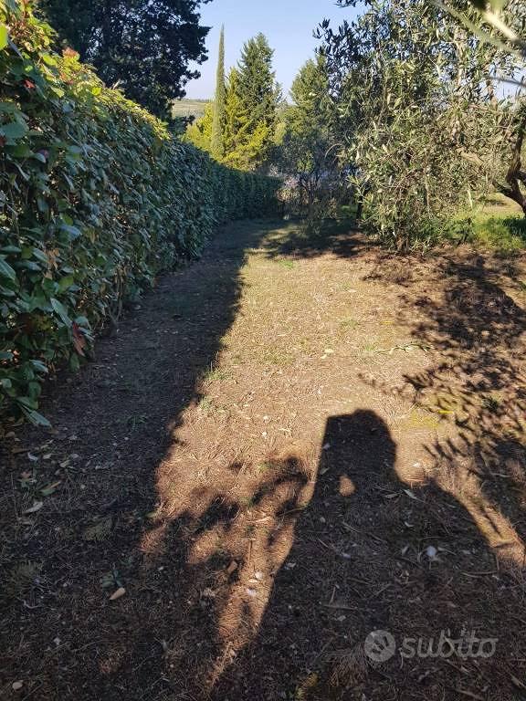 Terreno di 700 m² a Montespertoli - Vista 4