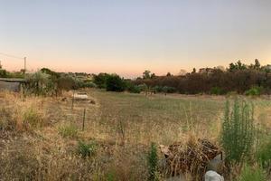 Terreno edificabile in C.da Niscima CL