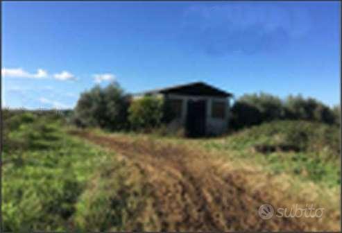 Terreno Agricolo a Cori