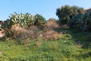 Terreno c.da falconello a carlentini