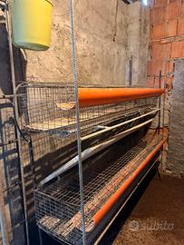gabbia coniglio ingrasso