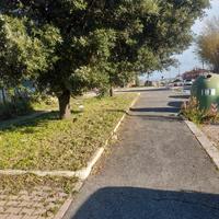 Giardiniere custode o altro