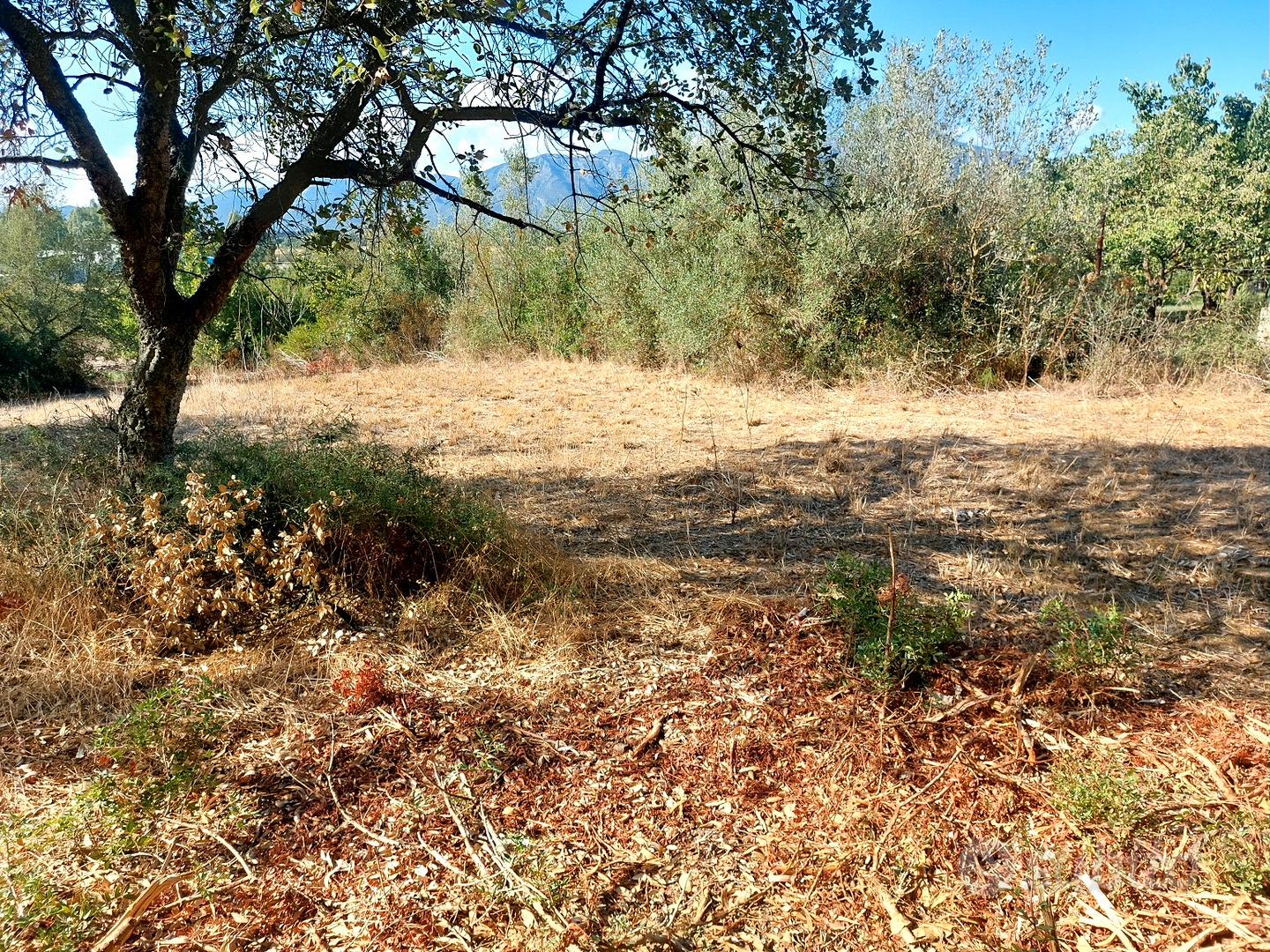 Terreno agricolo in buona posizione - Vista 5