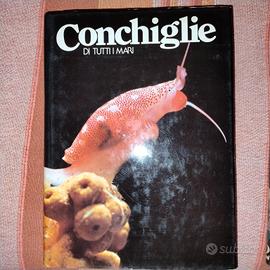 conchiglie di tutti i mari - Rizzoli 1980