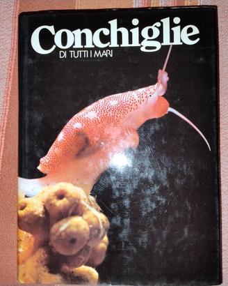 conchiglie di tutti i mari - Rizzoli 1980