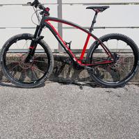 Porsche Bike RX in carbonio 