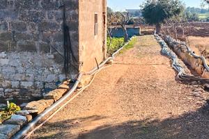 RUSTICO+TERRENO vista mare_Privato_a.ffar.e