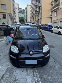 annuncio panda