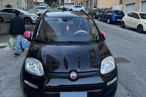 annuncio panda