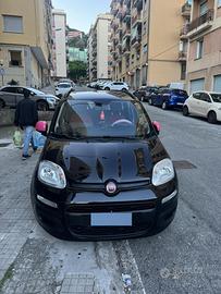 annuncio panda