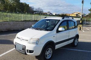 fiat panda 4x4 1.3 Multijet valuto permute