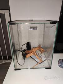 piccolo acquario nanoreef