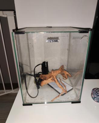 piccolo acquario nanoreef