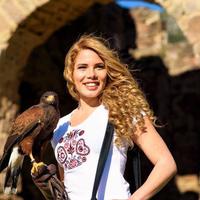 Poiana di Harris (Parabuteo unicinctus) * rapace