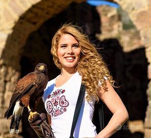 Poiana di Harris (Parabuteo unicinctus) * rapace