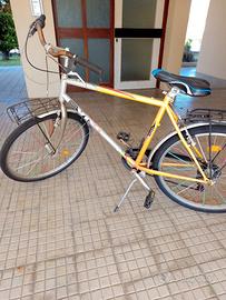 Bicicletta