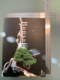 Libro: Bonsai - ediz.: giapponese e italiano