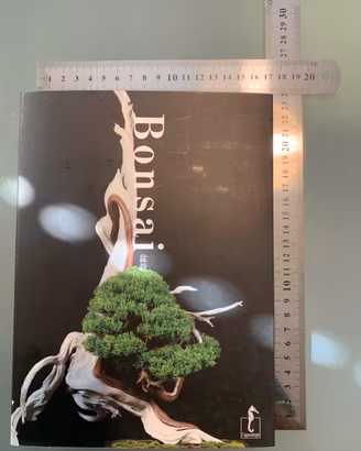 Libro: Bonsai - ediz.: giapponese e italiano