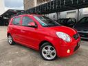 kia-picanto-1-1-12v-trendy-clima