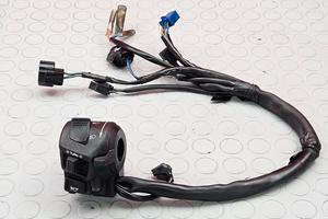 DEVIO LUCE HONDA HORNET 600 2003 2004