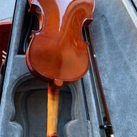 violino