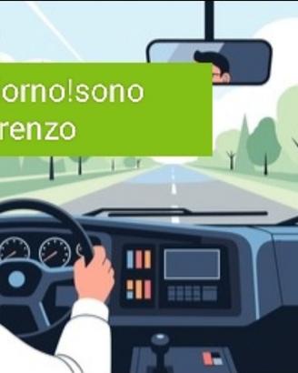 Assistenza alla persona/accompagnatore