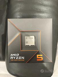 Ryzen 7600x