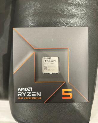 Ryzen 7600x