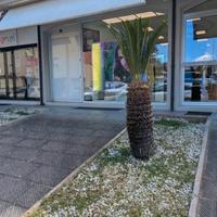 Locale commerciale a Campiglione di Fermo