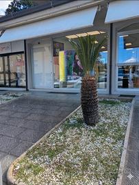 Locale commerciale a Campiglione di Fermo