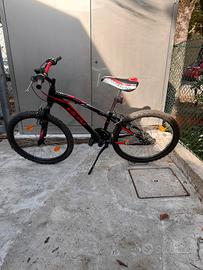 Bici MTB Vicini 24 bambino