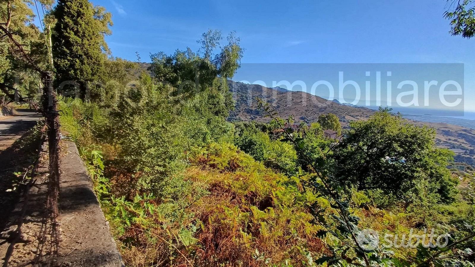 Terreno agricolo 5.500mq e rudere Piedimonte Etneo - Vista 3