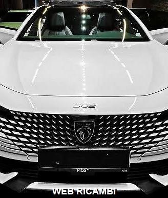 Musata PEUGEOT 508 GT LINE 2023 2024 2025
