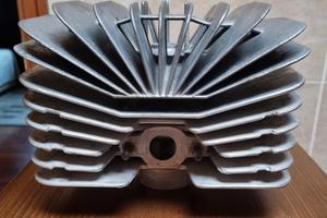 Termica Fantic motor 50