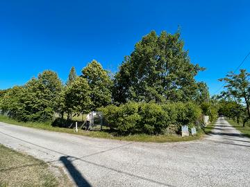 Terreno agricolo santaquilina
