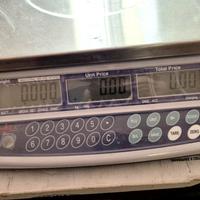 bilancia professionale