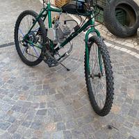 Bici a motore