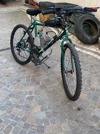 Bici a motore