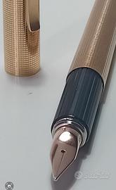 Stilografica Aurora Hastil